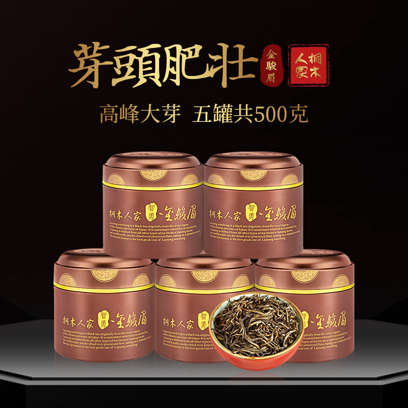 2025新茶桐木人家大芽金骏眉特级正宗浓香型红茶茶叶500g长辈送礼