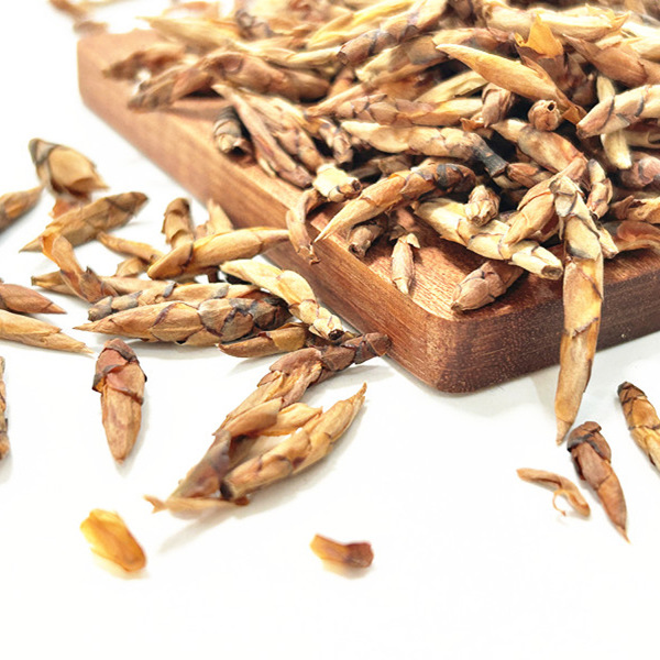 老鹰茶重庆特产四川特产老荫茶老阴茶重庆火锅专用批发茶叶250克